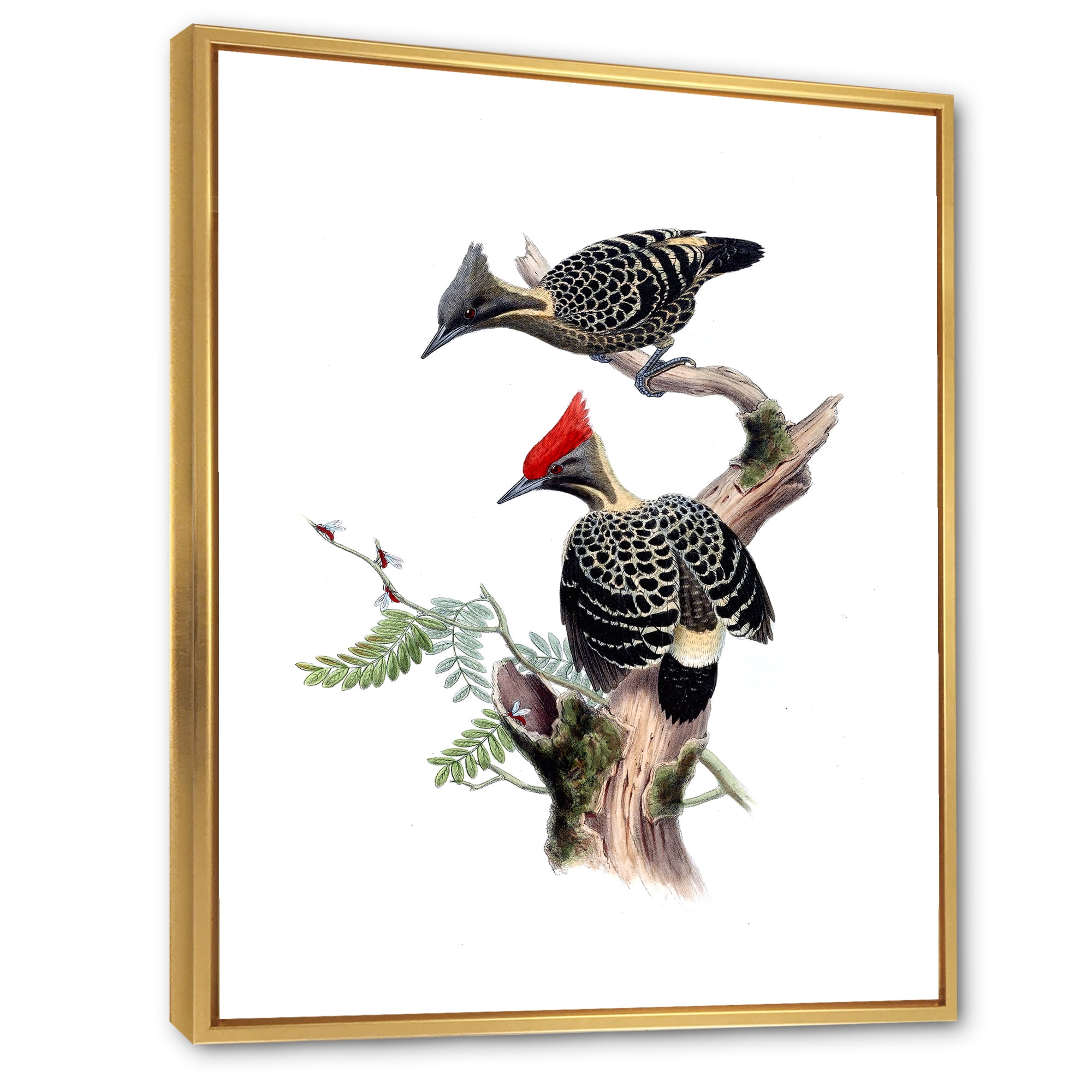 Designart 'Ancient Birds In The Wild VI' Traditional Framed Canvas Wall Art Print
