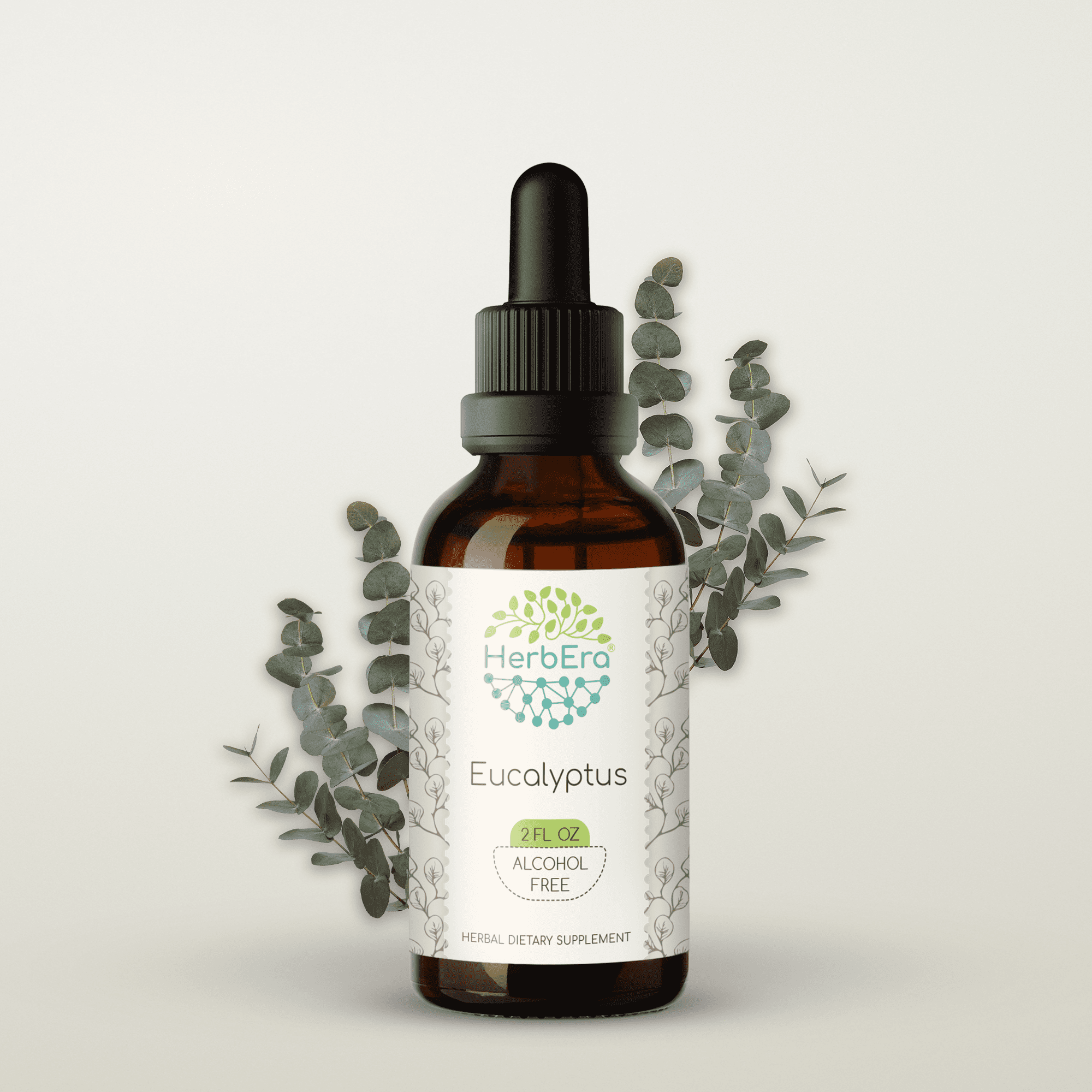 HerbEra Eucalyptus Tincture, Herbal Dietary Supplement for Respiratory Support, Eucalyptus (Eucalyptus globulus) Dried Leaf Extract, Natural, Alcohol-Free, Drops 2 oz