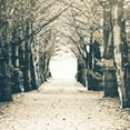 thumbnail image 2 of Poynter, Kelly 12x12 Gold Ornate Wood Framed with Double Matting Museum Art Print Titled - Woods Square, 2 of 4