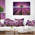 thumbnail image 3 of Designart Lavender Field Sunset with Single Tree - Floral Throw Pillow - 16x16, 3 of 4