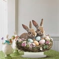 thumbnail image 6 of YWIYIUD 1PC Easter Decoration Spring Rabbit Ornament 2D Acrylic Desktop Ornament Cartoon Cute Easter Eggs Rabbit Designs Decoration Accessories for Living Room Holiday Party Supplie Home Decor 10inch, 6 of 8