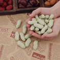 thumbnail image 3 of 20pcs Walnut Kernel Fake Decoration Artificial Food Display Realistic Lifelike Imitation Ornament Fruit Bowl Office Desk, 3 of 3