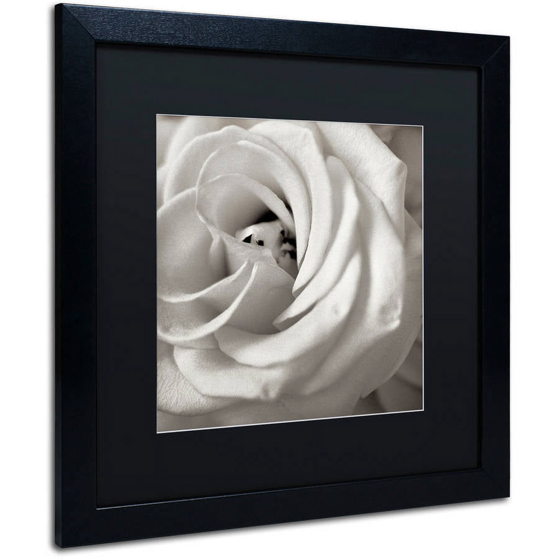 Trademark Fine Art "Florison 43" Canvas Art by Alan Blaustein, Black Matte, Black Frame