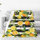 thumbnail image 1 of Balery Orange and Lemon Manta de Felpa Suave y Acogedora – Cobija de Franela Aterciopelada para Cama, Lavable y Cálida para Sofá, Mascotas, Transpirable-80"x60", 1 of 7