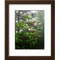 thumbnail image 2 of Great Smoky Mountains National Park, North Carolina, USA, Botanical Scenic Framed Art Print Wall Art by Adam Jones Sold by Art.Com, 2 of 6