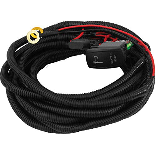 4in Dragonfire Racing LED Whip Light with Remote Clear
