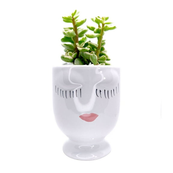 Beauty Pot, Hand-painted Pretty Lady Face Pot, Small Ceramic Pot for Succulent, Cactus & Flower