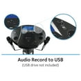 Singing Machine ISM1030BT Bluetooth Pedestal Karaoke System with