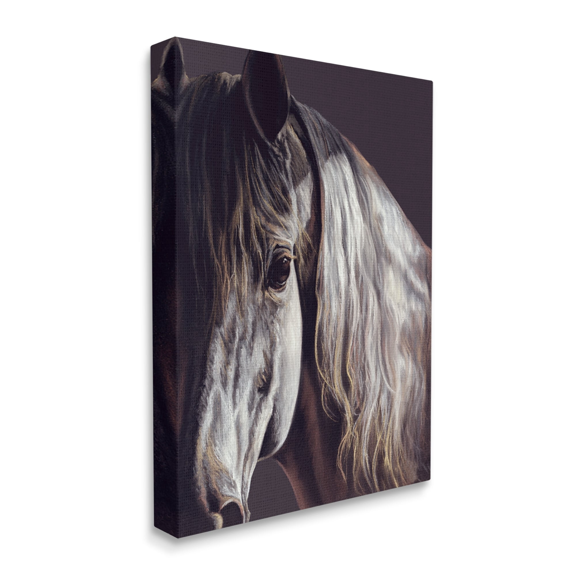 Stupell Industries Close Up Horse Face Portrait Animals & Insects Photography Gallery Wrapped Canvas Print Wall Art