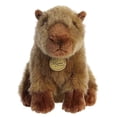 thumbnail image 1 of Aurora - Miyoni - 9" Capibara Aurora World Aurora World, 1 of 2