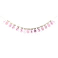 thumbnail image 4 of TAILTOSS Ballet Party Decoration Banner 1Set Pink Rectangular Paper 10.8 x 0.05 x 18.2 Girls, 4 of 7