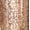 sommet du style, variante sur essie vernis à ongles, végétalien, finition brillante, formule de qualité salon,13.5ml