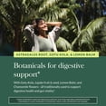 thumbnail image 5 of Gaia Herbs Gut Revival - Herbal Supplement to Support Healthy Gut Lining* - Made with AstraGin, Gotu Kola, Jujube & More - Free from Dairy, Soy & Gluten - 60 Vegan Liquid Phyto-Caps (60 Servings), 5 of 9