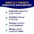 thumbnail image 2 of Probiotic & Digestive Enzyme Chews for Dogs - Gut Health, Diarrhea & Allergy Relief - Pumpkin & Omega-3 Prebiotic Supplement, 2 of 8