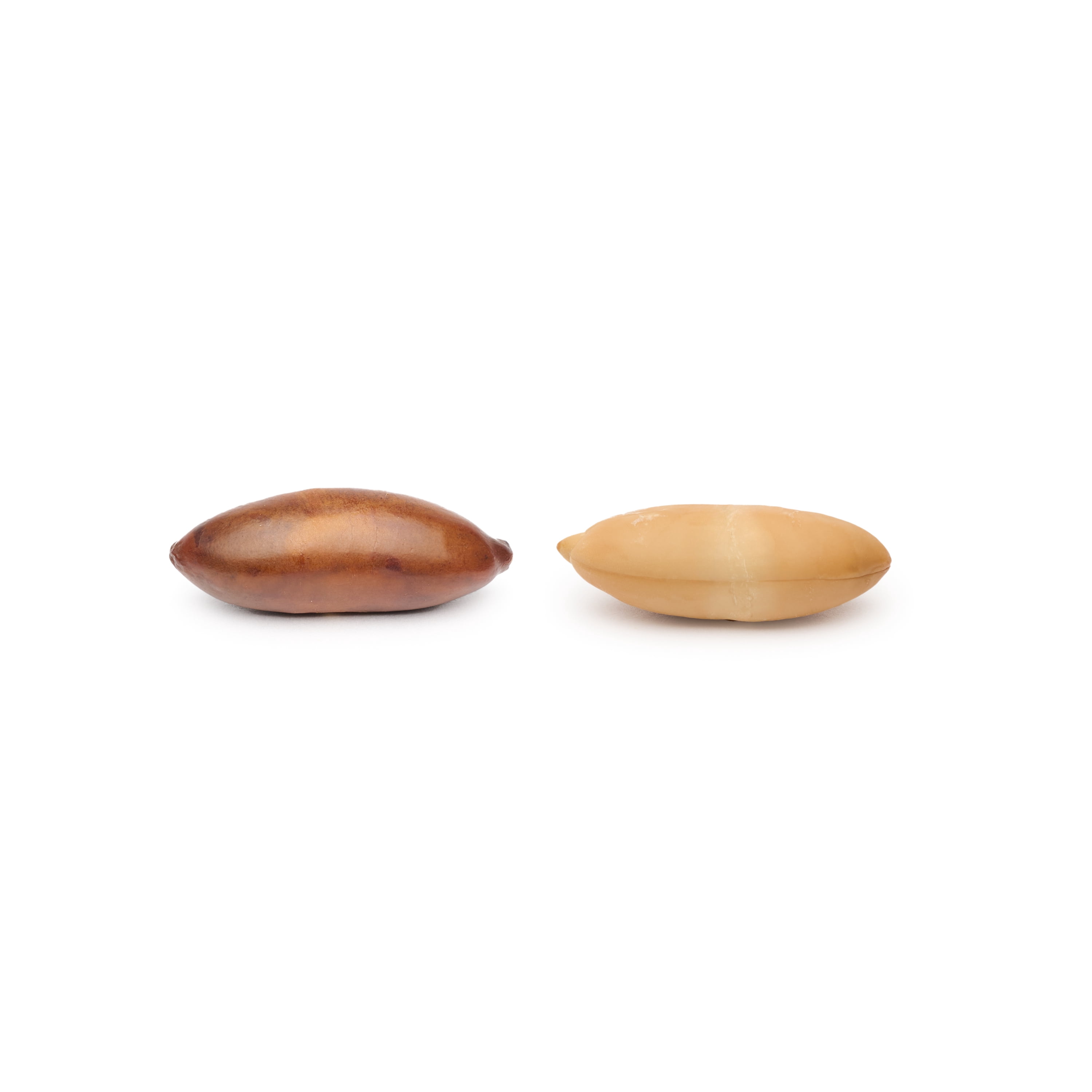 Gourmanity Brazilian Baru Nuts, Complex Nutty Flavor, High in Protein, Vitamin E and Omega 6 & 9, Roasted and Unsalted, 1.5 LB