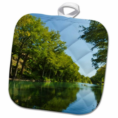 

3dRose Guadalupe River Bald cypress Gruene Texas USA - US44 LDI0936 - Larry Ditto - Pot Holder 8 by 8-inch