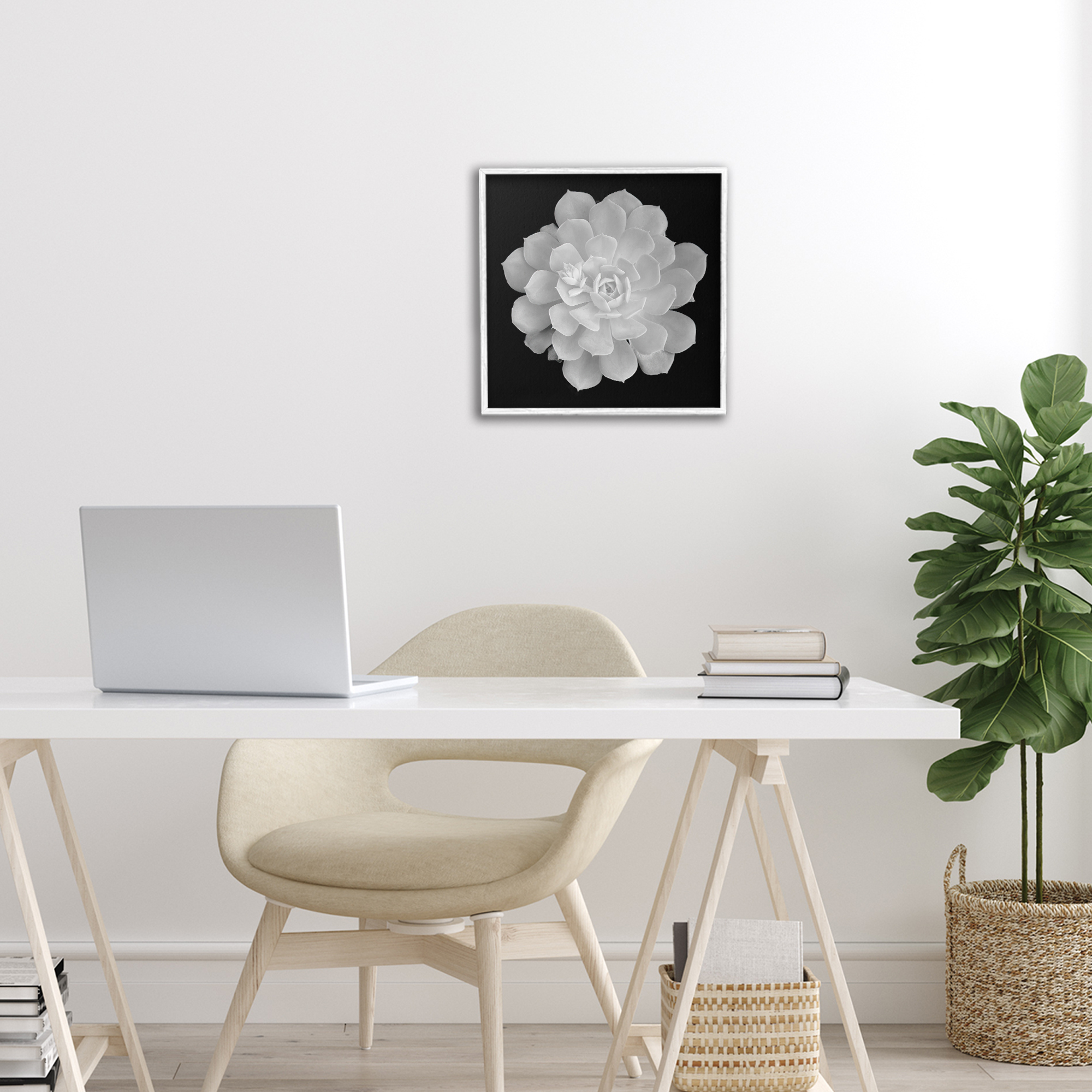Pure White Succulent Contrast White Framed Giclee Art, design by Phillip Flowers