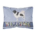 thumbnail image 1 of Almohada decorativa Caroline's Treasures Wetterhoun Frisian perro de agua lienzo multicolor, 1 of 1