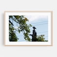 thumbnail image 2 of Squirrel’s Loud Greeting by Springwater’s Brush - Portland Oregon Photography Wildlife Silhouette Nature Woodland Animal Scenic Unframed Wall Art Print 4 x 6 inches, 2 of 7