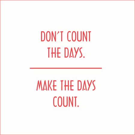 Don't Count the Days, Make the Days Count Vinyl Quote - Medium - Red