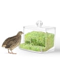 thumbnail image 2 of BeesClover Rutin Chicken Automatic Food Feeder Large Capacity Anti-overturning Food Box Small Animal Feeding Supplies, 2 of 9
