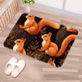 thumbnail image 5 of Squirrel Non-Slip Polyester Office Mat, Door Rug, Indoor Mat - Machine Washable, 5 of 6