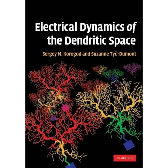 Electrical Dynamics of the Dendritic Space, (Hardcover)