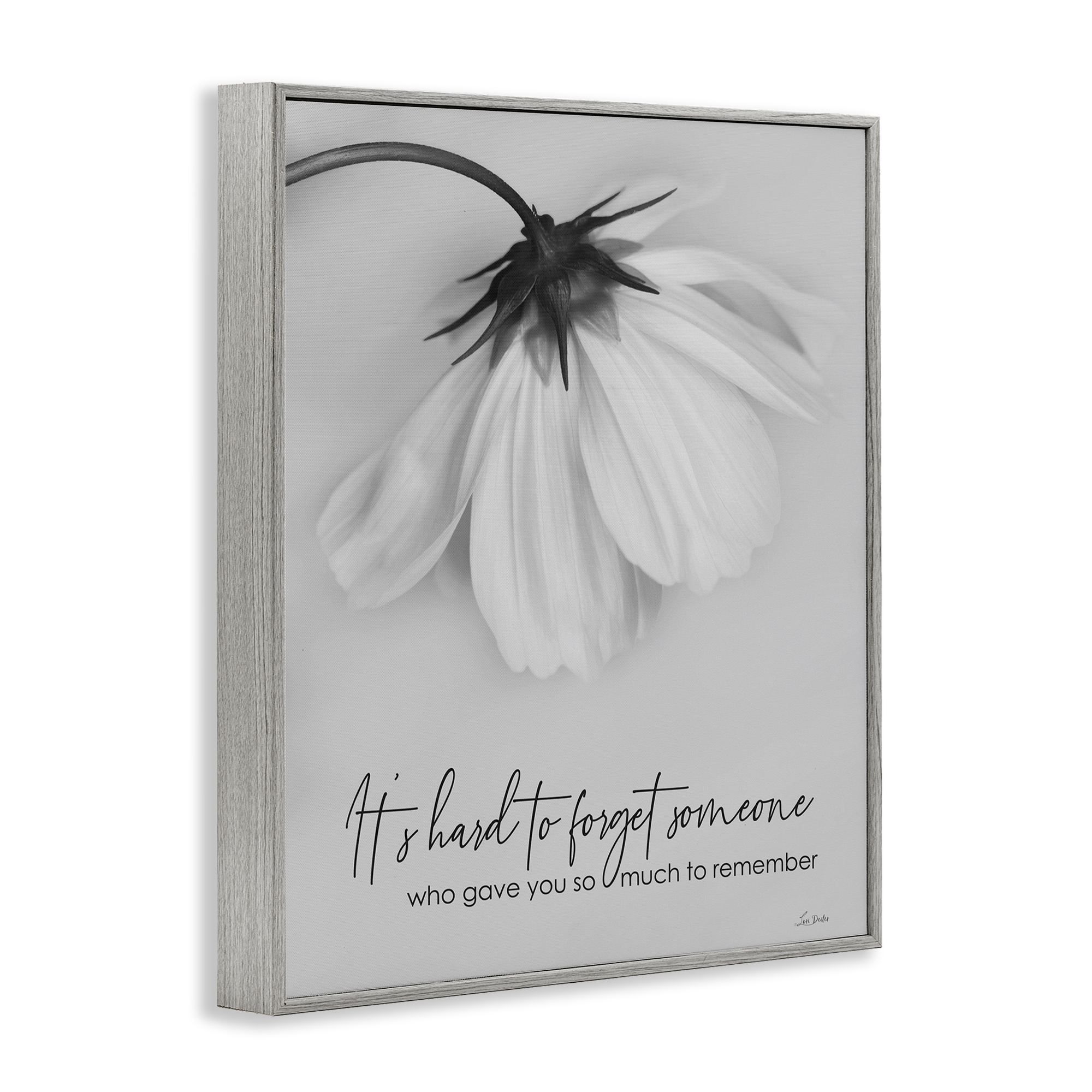 Stupell Industries So Much To Remember Botanical & Floral Painting Gray Framed Art Print Wall Art, 16 x 20