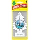 thumbnail image 2 of Paquete de 12 Ambientadores Little Trees Aroma Norte Verdadero, 2 of 7
