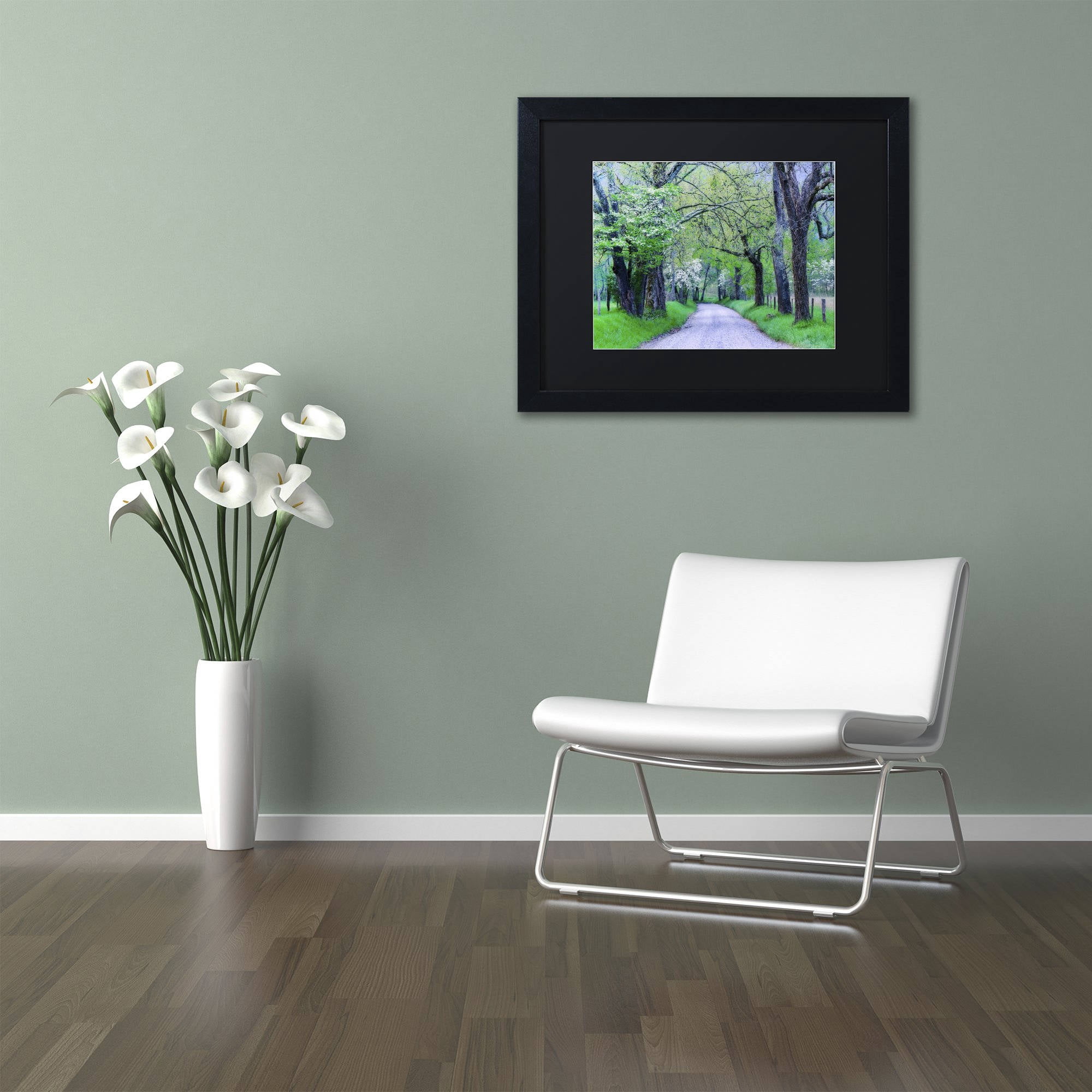 Trademark Fine Art "Cades Cove Lane" Canvas Art by Michael Blanchette Photography Black Matte, Black Frame