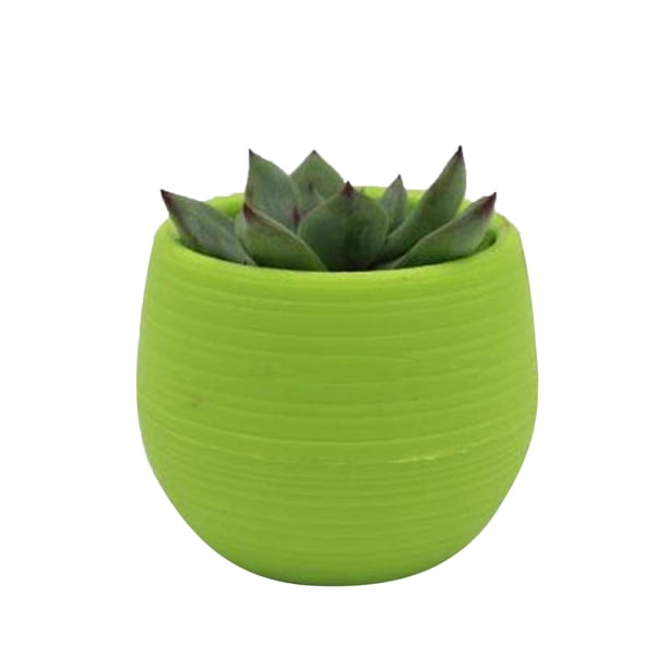 LYUMO maceta contenedor de flores maceta de plántulas maceta de plástico maceta suculenta Maceta suculenta Mini contenedor de flores de plántulas Maceta de plástico para jardín LYUMO No se aplica