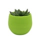 thumbnail image 1 of LYUMO maceta contenedor de flores maceta de plántulas maceta de plástico maceta suculenta Maceta suculenta Mini contenedor de flores de plántulas Maceta de plástico para jardín LYUMO No se aplica, 1 of 1