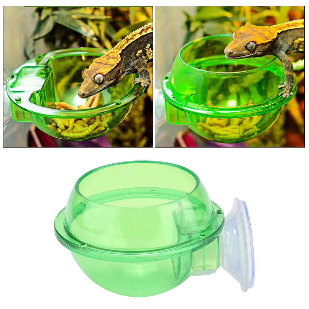 TOPINCN Chameleon Feeder,Lizard Feeder,Plastic Durable Transparent