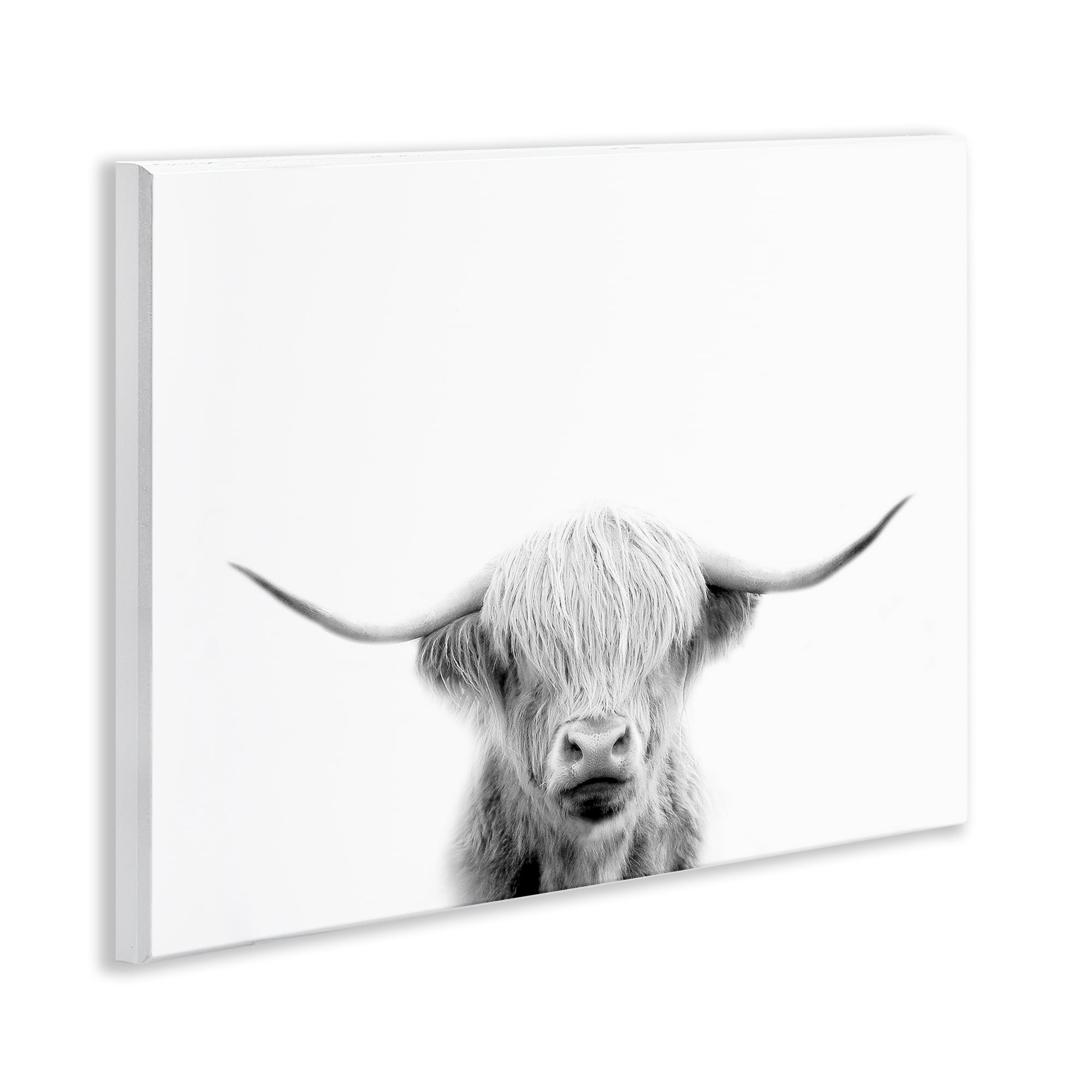 Stupell Industries Scottish Cow Portrait Wall Plaque Art, design by Leah Straatsma