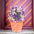 View all media
