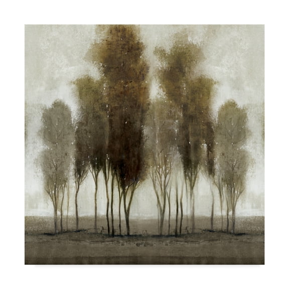 Trademark Fine Art 'Neutral Scape' Canvas Art by Tim OToole