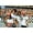 Unframed, variant on Art.com Breaking Away, Jackie Earle Haley, Daniel Stern, Dennis Christopher, Dennis Quaid, 1979 Premium Photographic Print, 18" x 12"