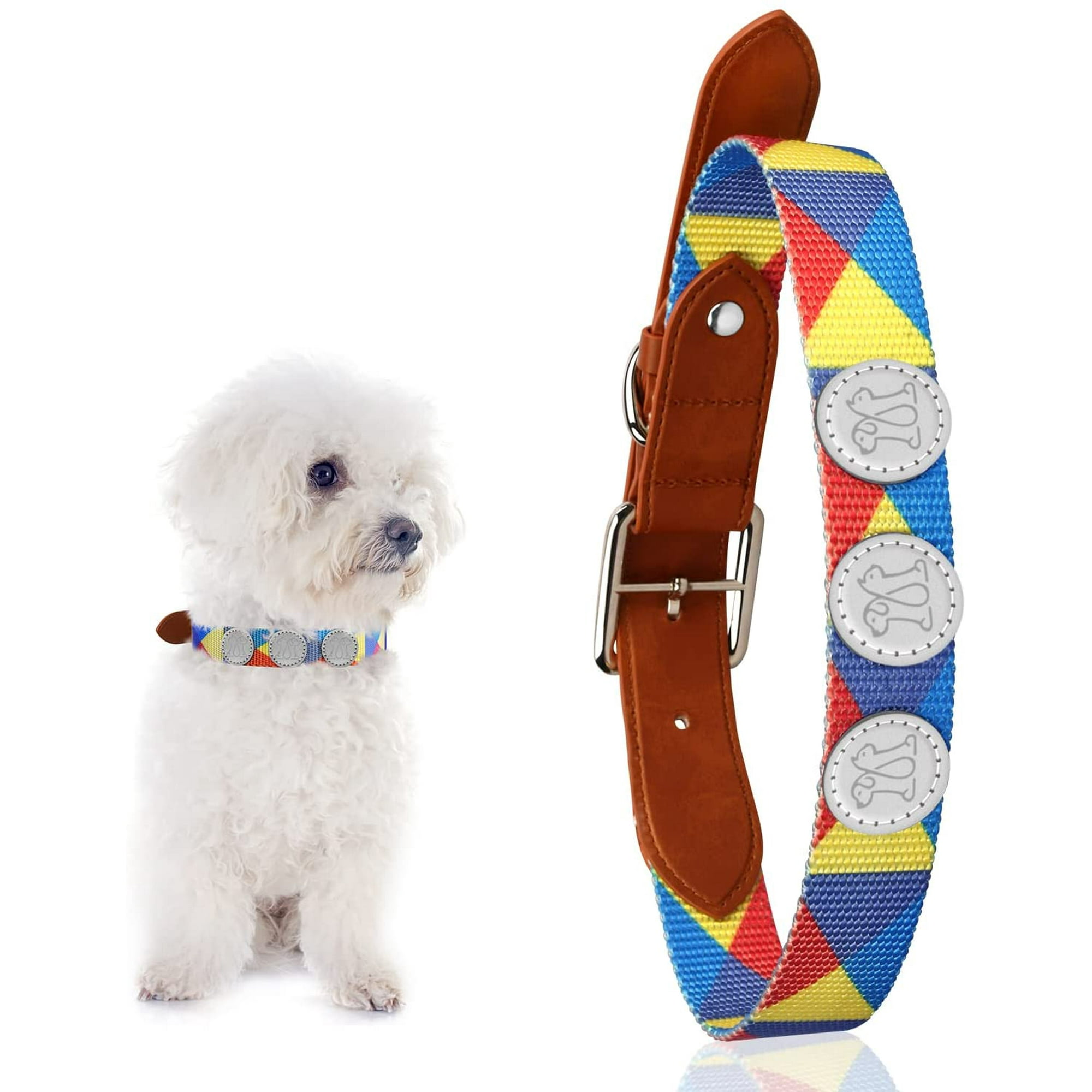 Dog walking collars hotsell