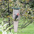 thumbnail image 4 of Birds Choice 2-Cake Pileated Suet Feeder with Green Top, 4 of 5
