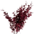 thumbnail image 2 of Hill Interiors Orchid Spray Artificial Flower, 2 of 4