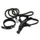 thumbnail image 1 of Collar de correa ultra fuerte Yashi para perro pequeño resistente y duradero, 1 of 5