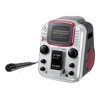 iLive IJ328 - Portable karaoke with Apple Dock cradle