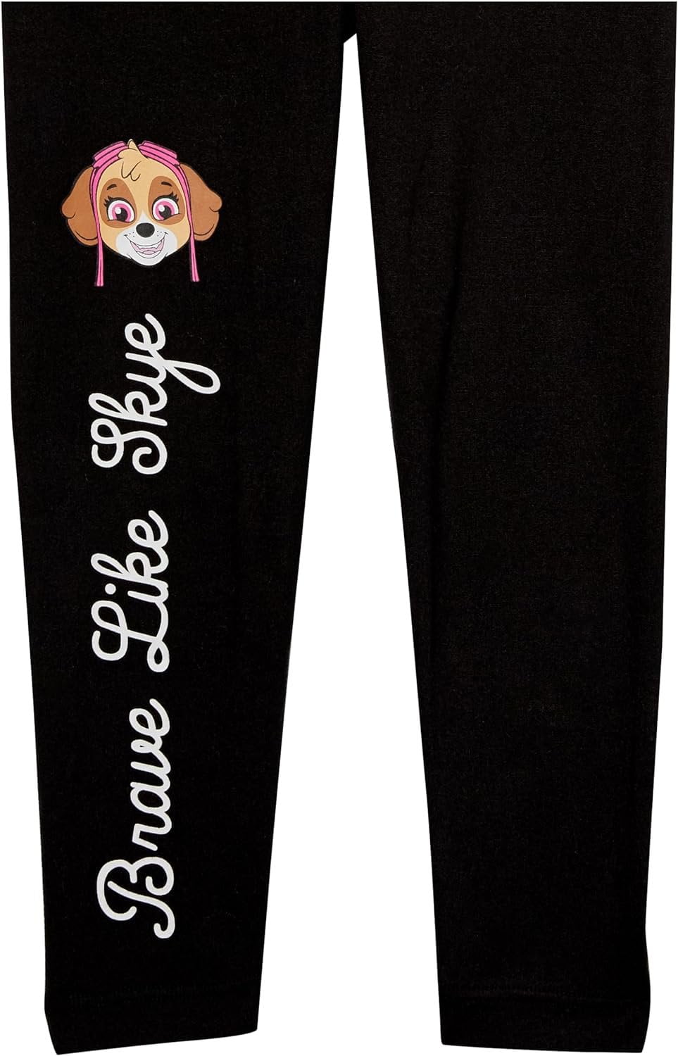 Nickelodeon Girls Paw Patrol Skye Pullover Sweatshirt & Leggings Set - Toddler Girls Sizes 2T-5T
