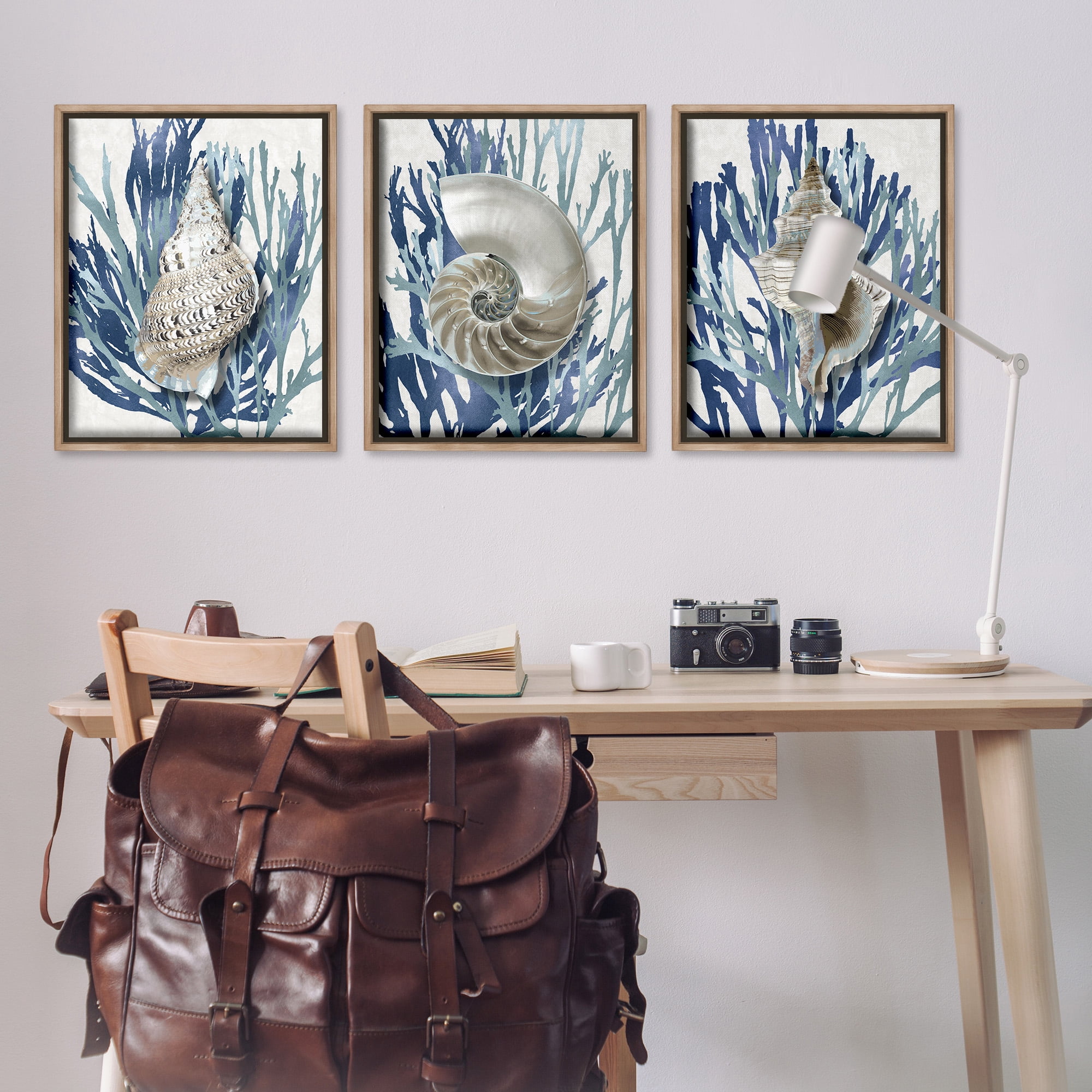 Stupell Industries Trio of Shells & Coral Nature Painting Brown Floater Framed Canvas Art Print Wall Art, 25 x 31, Set of 3
