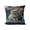 D, variant on PEIBang Cute Cat Throw Pillow Covers 18x18 in,Couch Cushion Cases for Sofa Bed Living Room Home Decor