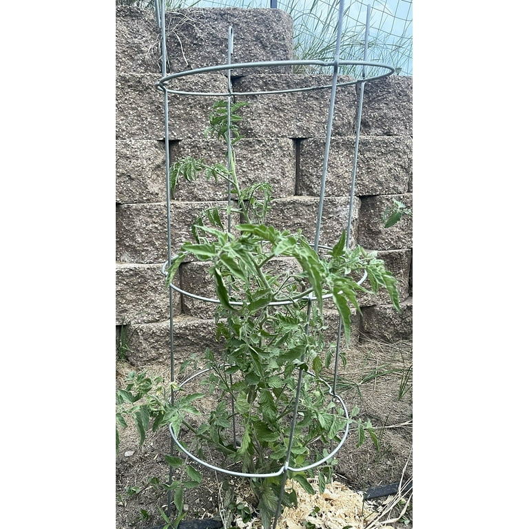 Glamos Wire 42 inch Heavy Duty Collapsible Plant Support 2-Pack