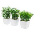 thumbnail image 1 of unbranded 3Ud Adornos De Plantas Artificiales Para Escritorio Con Bonsái Falso Y Detalles Realistas, 1 of 6