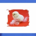 thumbnail image 3 of CafePress - Chicks In Red T Shirt - Men's Classic Graphic Cotton T-Shirt, 3 of 4