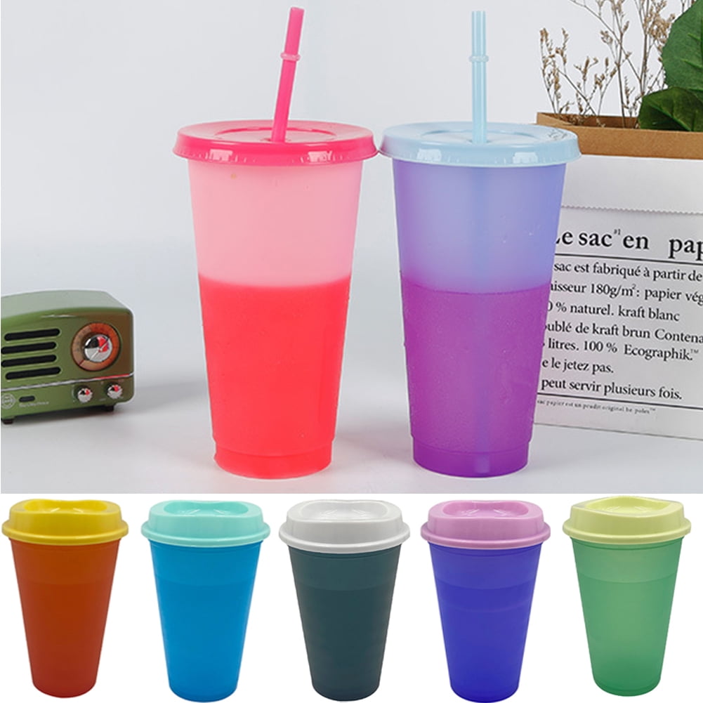 Smoothie Tumbler BPA Free Juice 500ml Insulated Metal Cup with Lid and Straw 