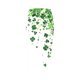 thumbnail image 3 of Leggings Del Día de San Patricio Unisex Impresión Tight Yoga 3/4 Longitud Moda Casual Traje de Pantalones de Mujeres, 3 of 5